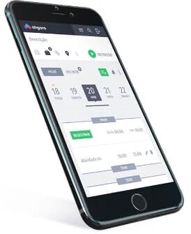 exemplo do pontoweb mobile